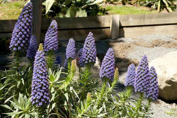 Quels sont les éléments essentiels à savoir sur la plomberie ?