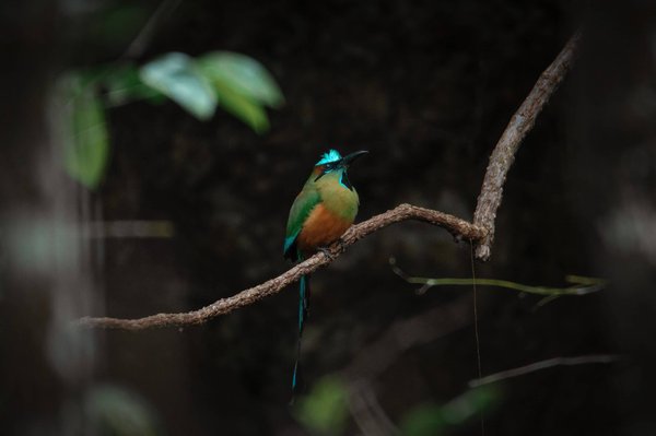 Quels sont les facteurs à prendre en compte lors de l'achat d'un berceau de co-sleeping ?