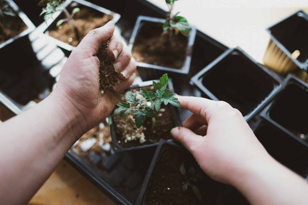 S'orienter dans le jardinage à Genève : le guide pour les prérequis et la formation